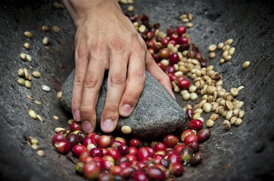 What Is coffee processing and why does It matter