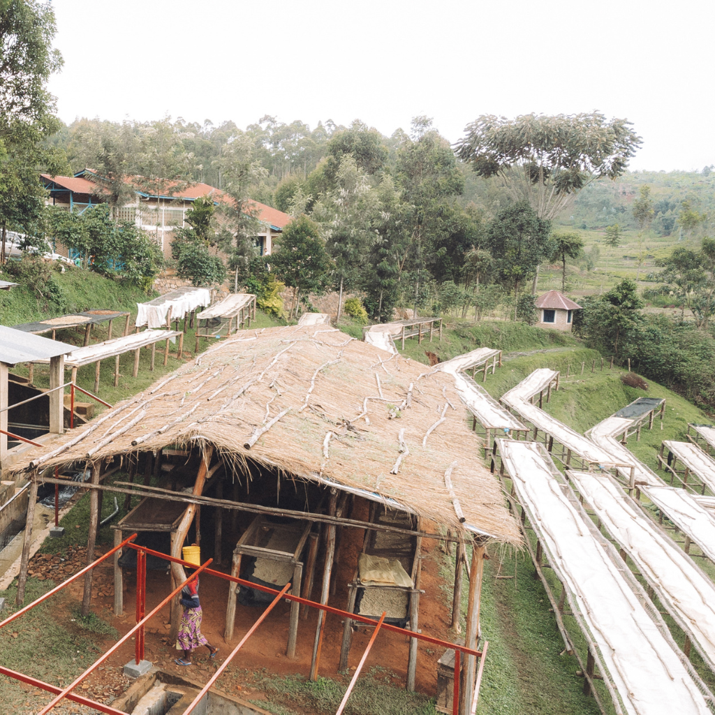 Gaharo Hill, Burundi