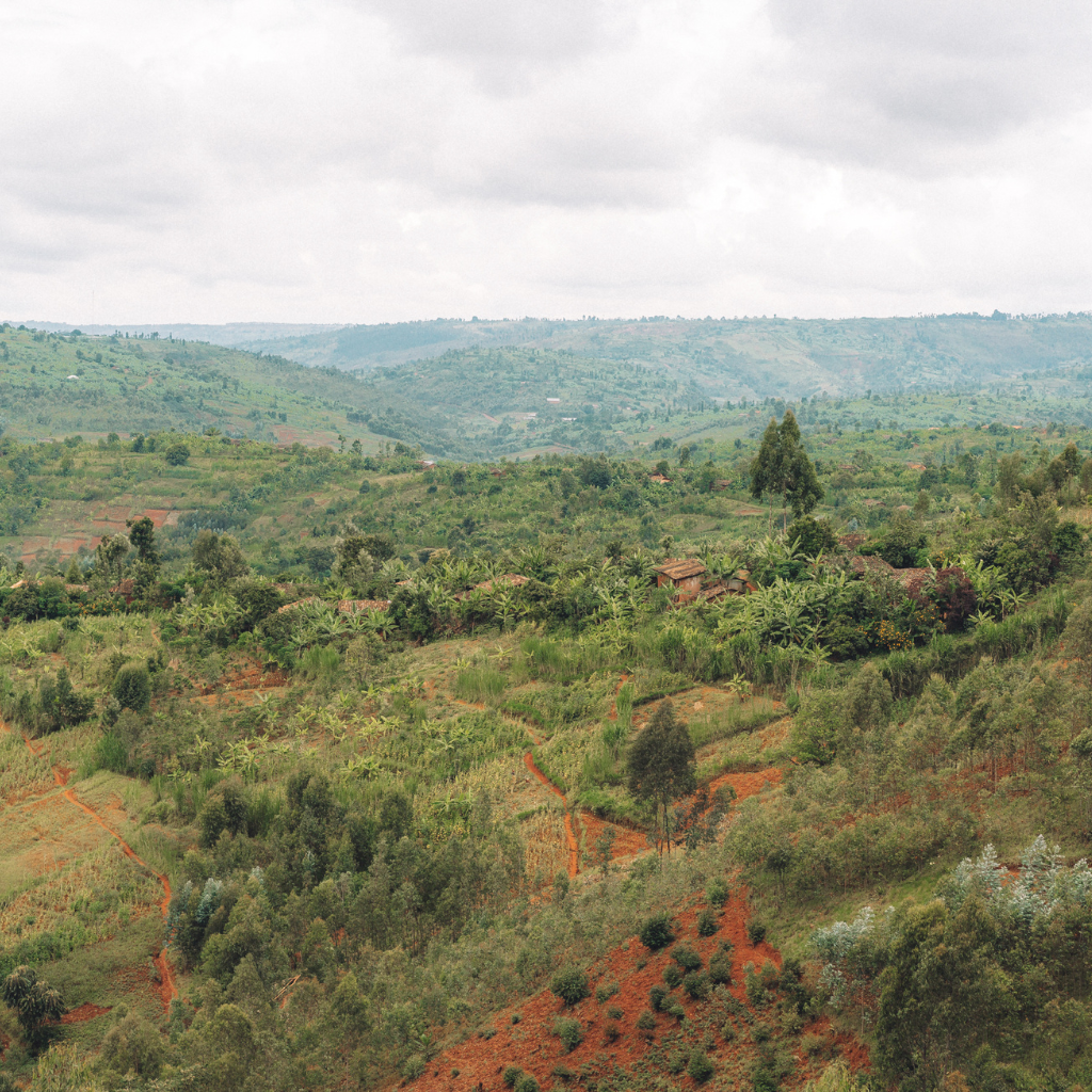 Gaharo Hill, Burundi