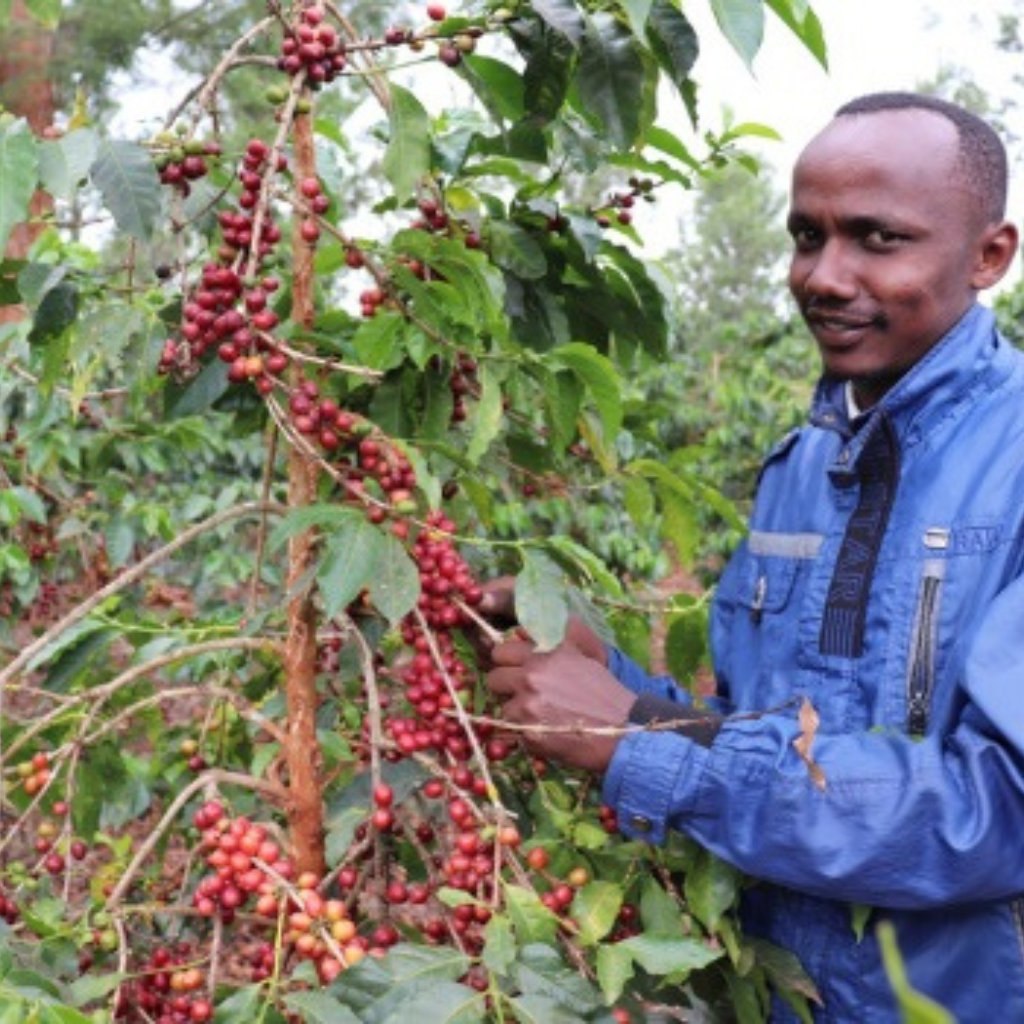 Ruera, Kenya