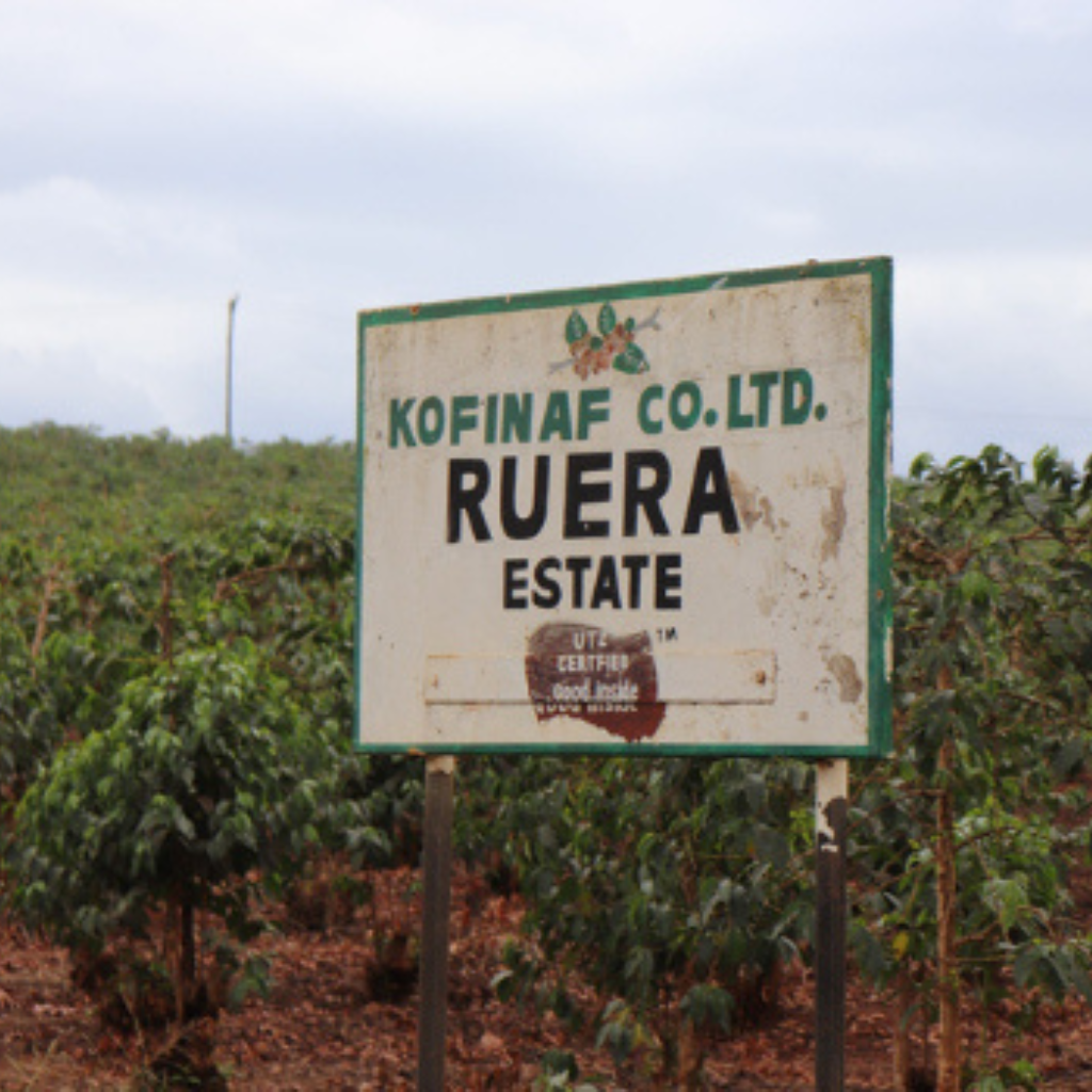 Ruera, Kenya