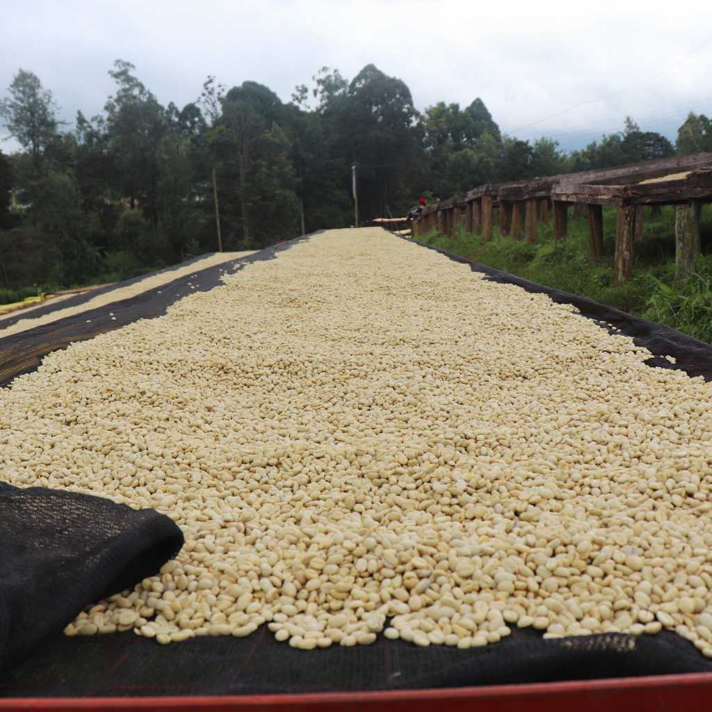 Ruera, Kenya