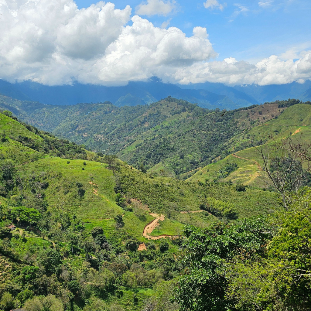 El Coco, Colombia