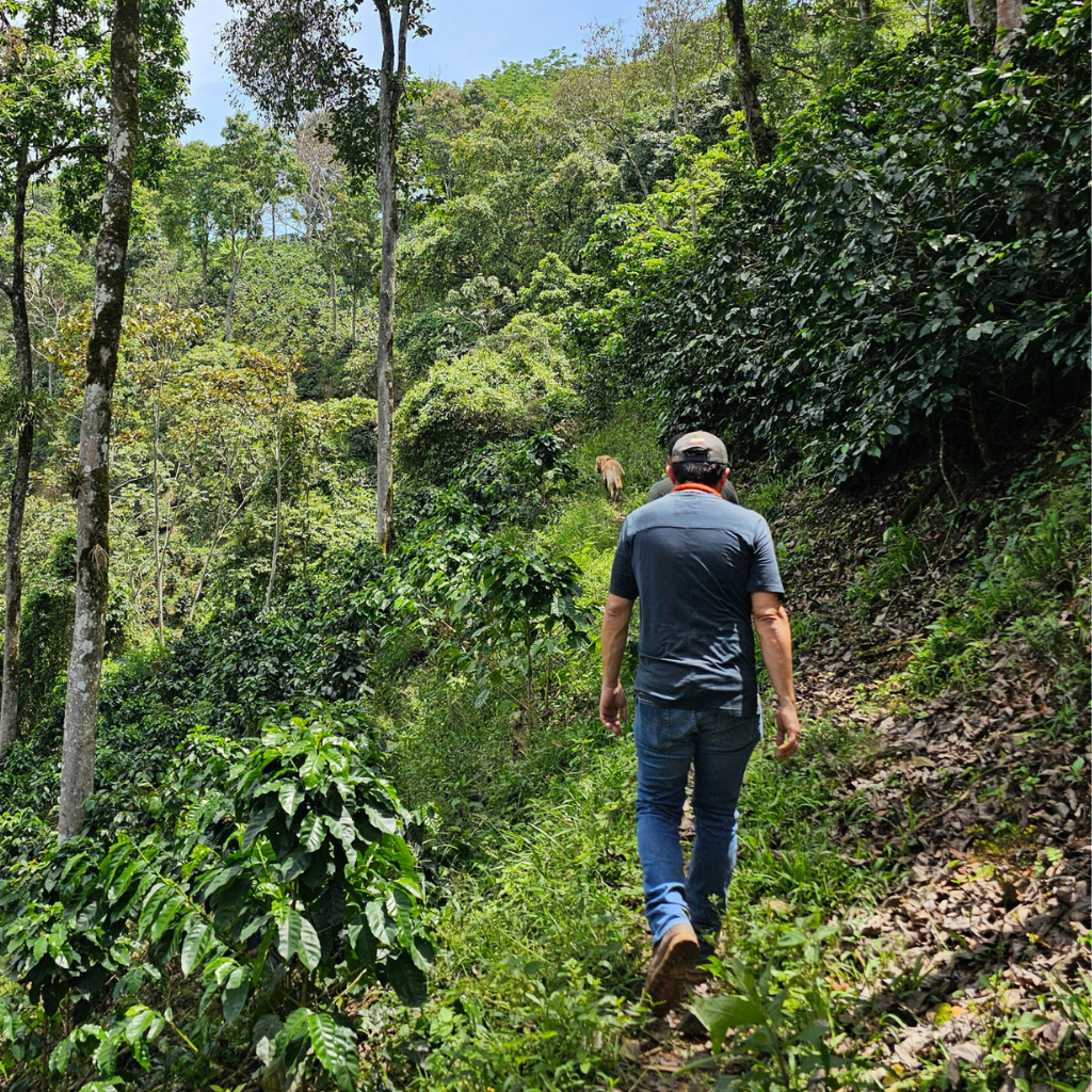 El Coco, Colombia