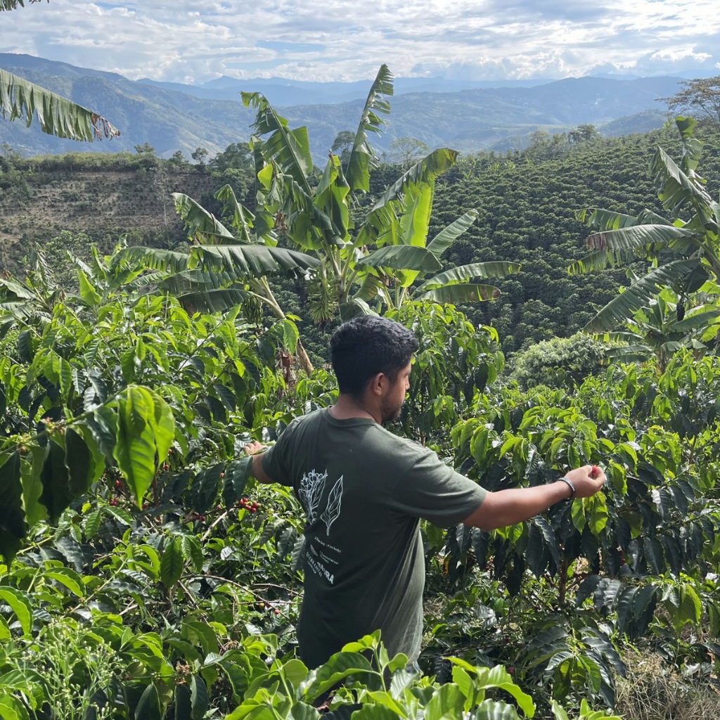 Las Quebraditas SL-28, Colombia